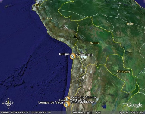 guanorojo
